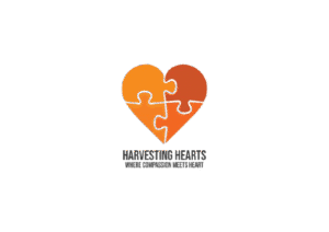 Logo__1_-removebg-preview